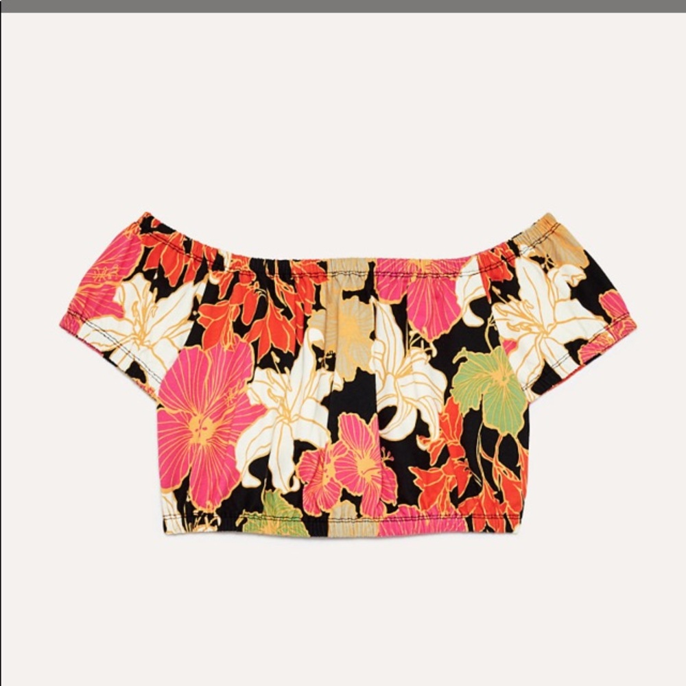 Aritzia Crop Top